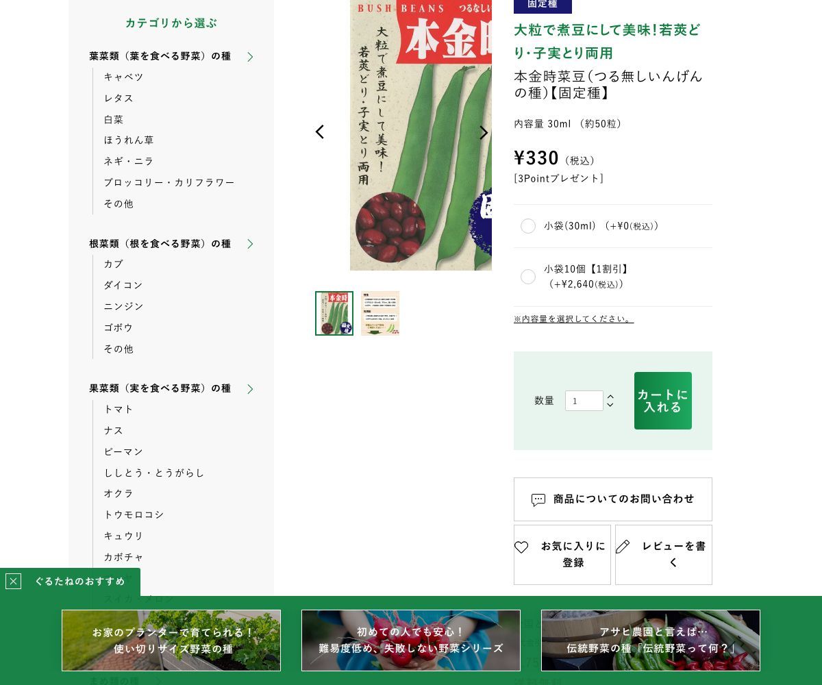 本金時菜豆