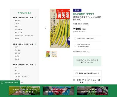 黄莢黒三度菜豆の画像