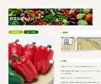 フルーピーレッドEXの画像
