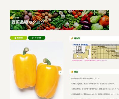 フルーピーイエローの画像