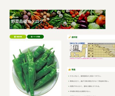 甘とう美人の画像