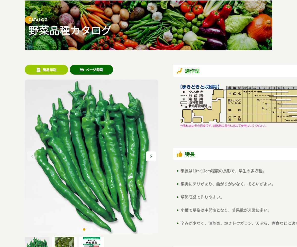 伏見甘長(長形種)