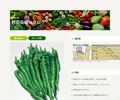 伏見甘長（長形種）の画像