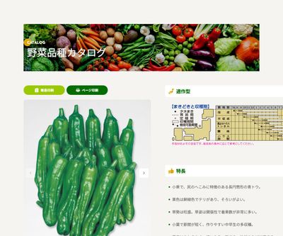 ししとうの画像