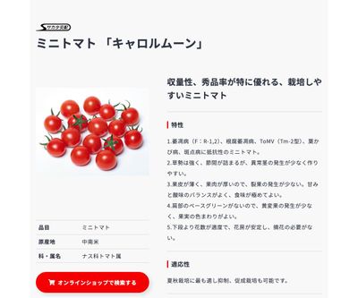 キャロルムーン