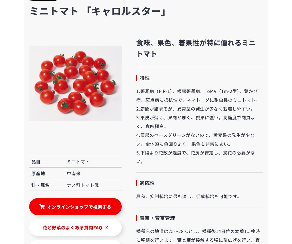 キャロルスター