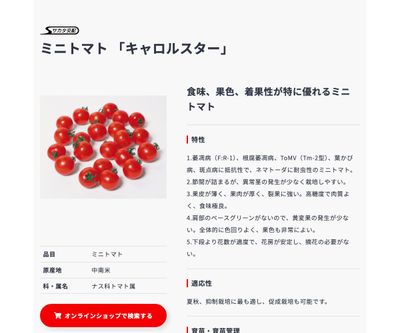 キャロルスター