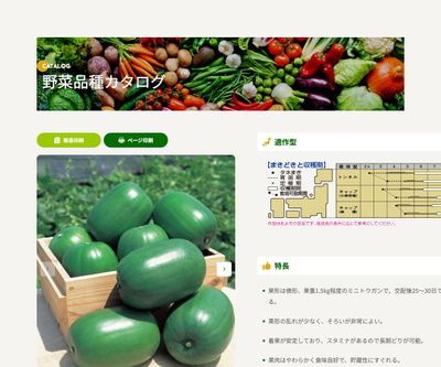 姫とうがんの画像