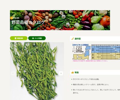 鶴の子大豆の画像