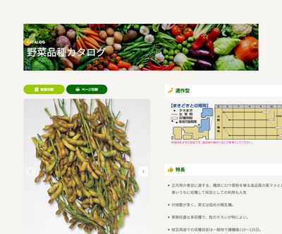 丹波黒大粒大豆の画像