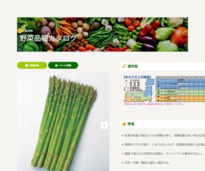 シャワーの画像