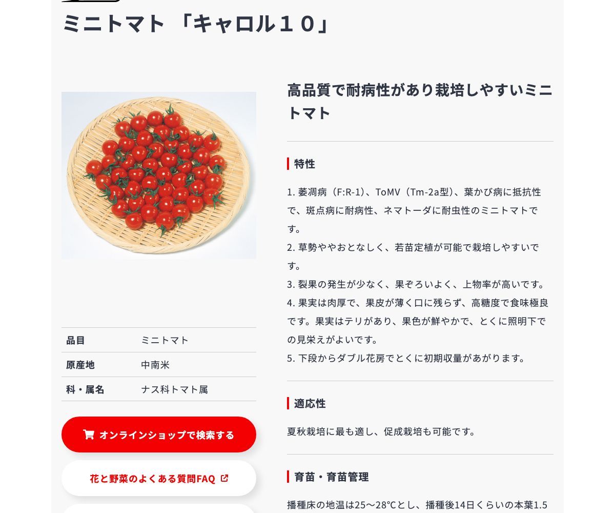 キャロル10