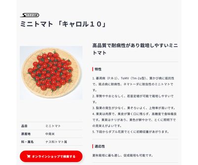 キャロル10の画像