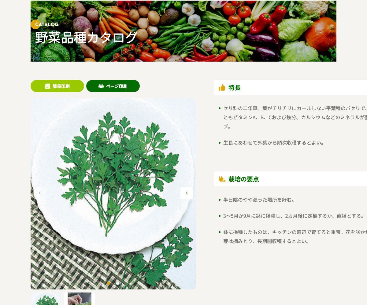 イタリアンパセリ
