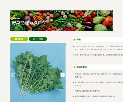 ロケットの画像