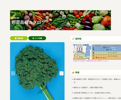 カーリ・パラマウントの画像