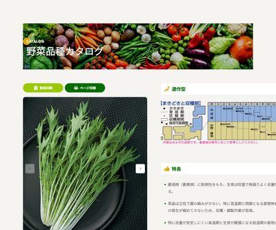 都むすめの画像