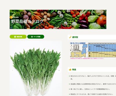 京かなでの画像