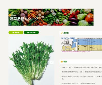 京みぞれの画像