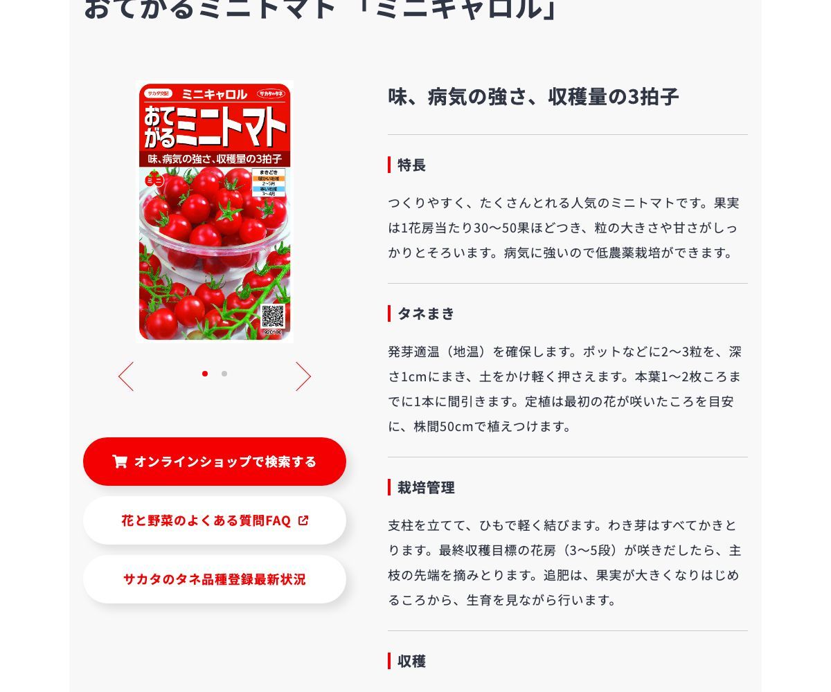 ミニキャロル