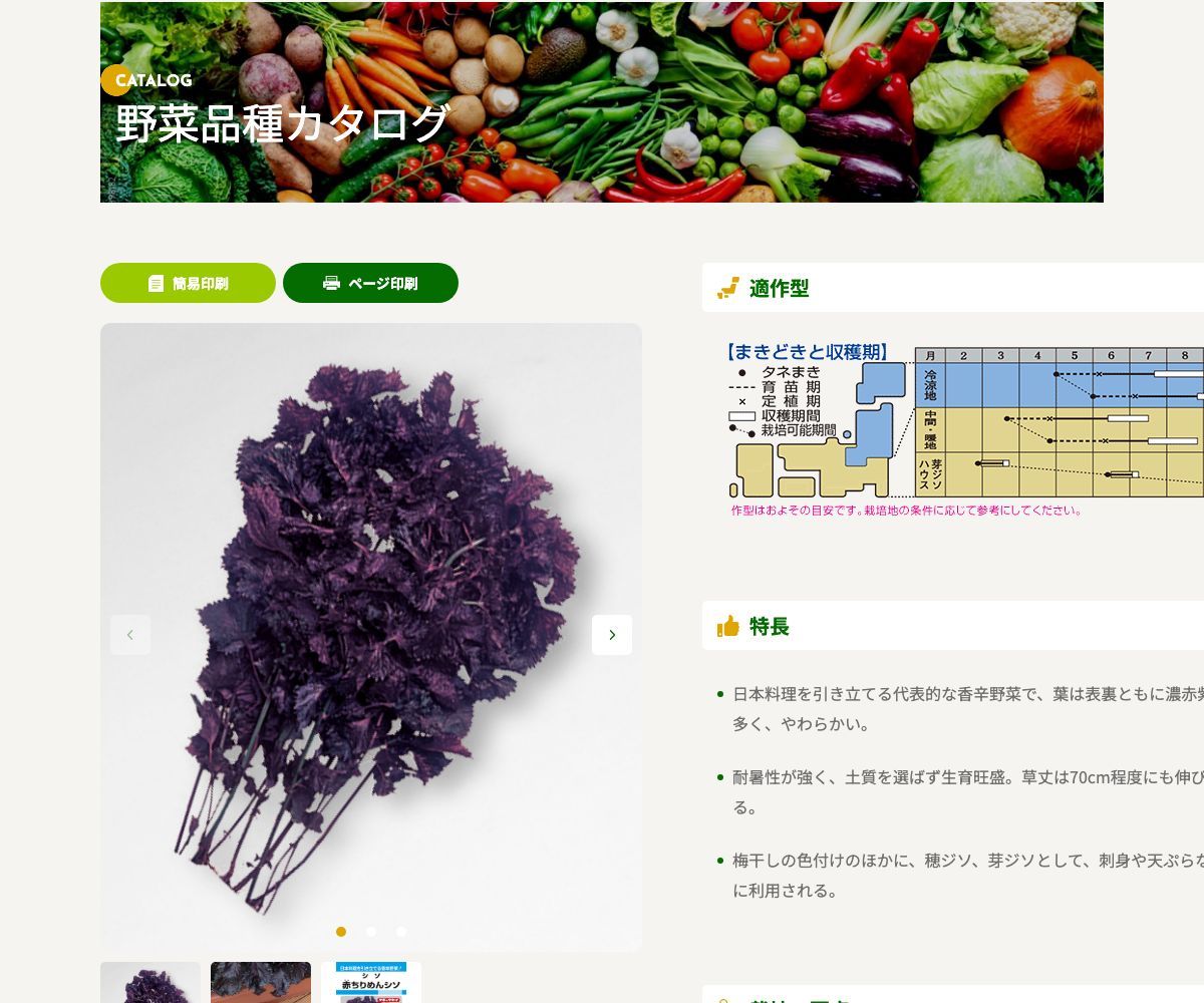赤ちりめんシソ