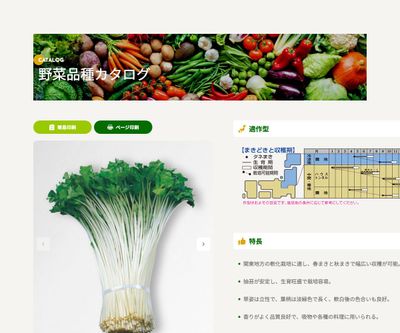 白茎三ツ葉（関東系）の画像