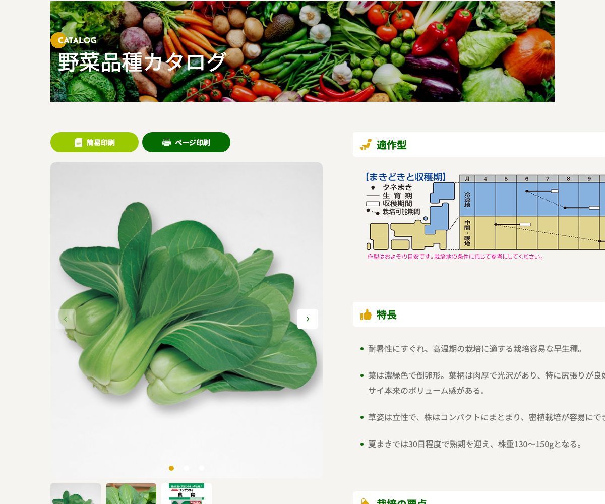 長陽