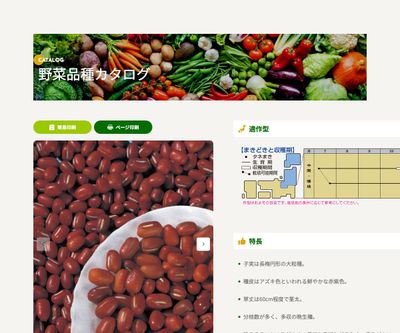 丹波大納言小豆の画像