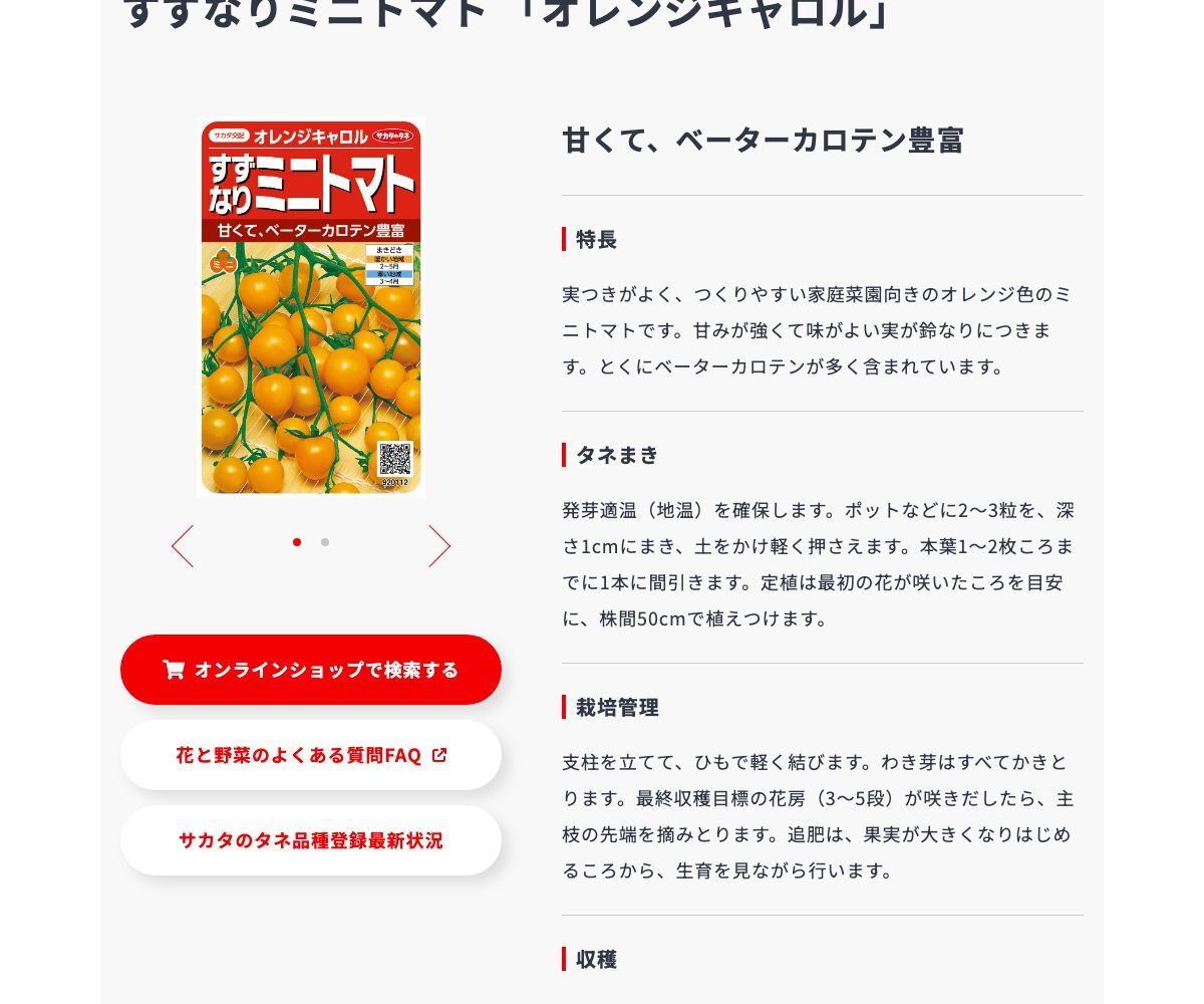 オレンジキャロル