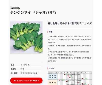 シャオパオ®の画像