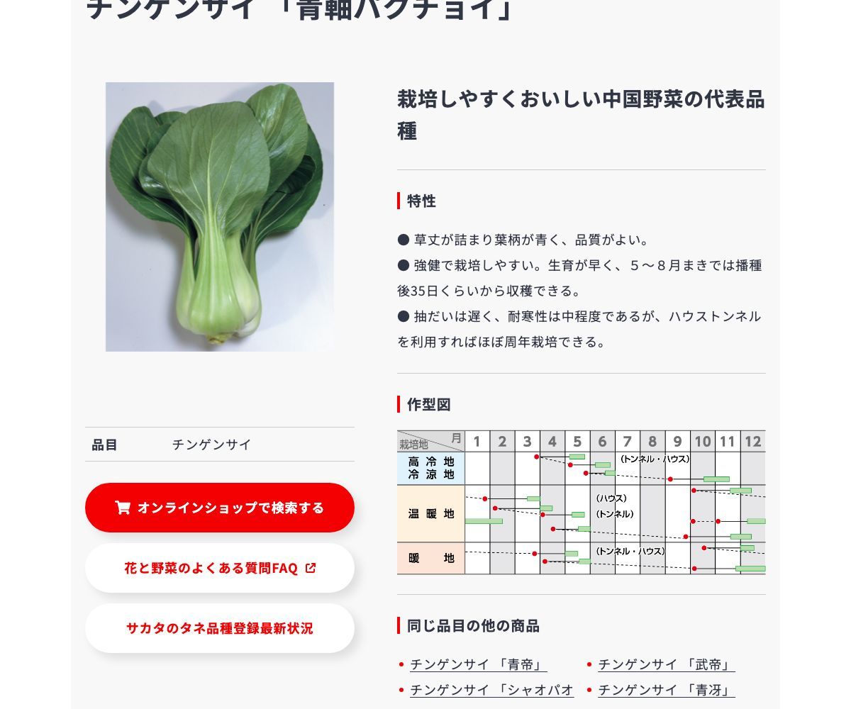 青軸パクチョイ