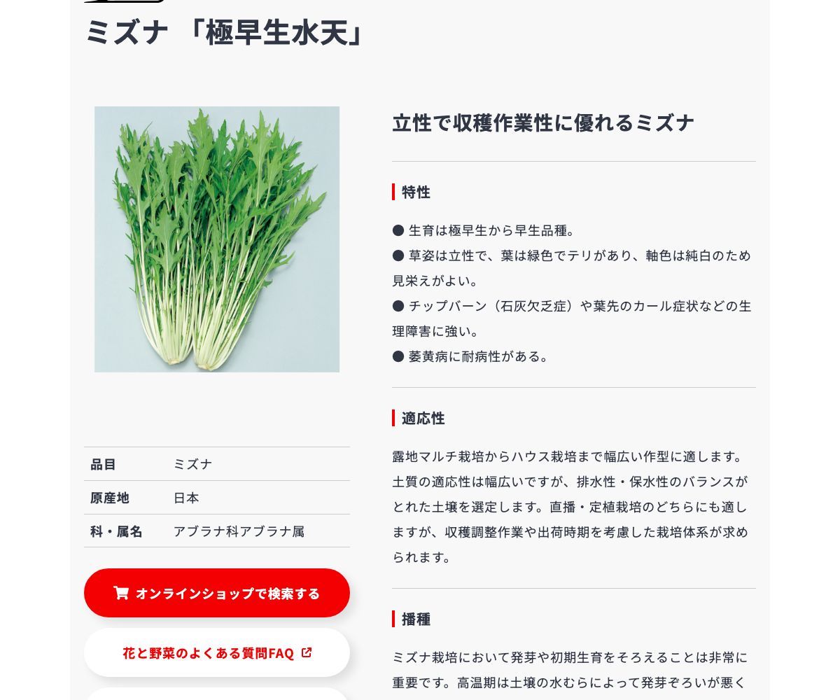 極早生水天