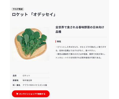 オデッセイの画像