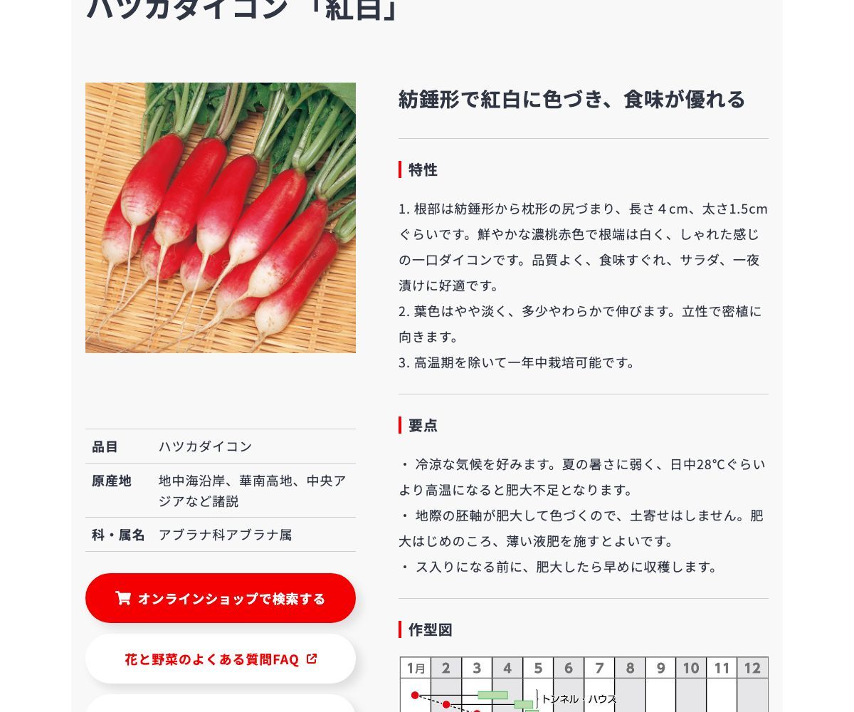 紅白