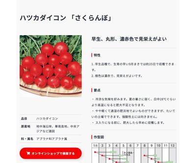 さくらんぼの画像