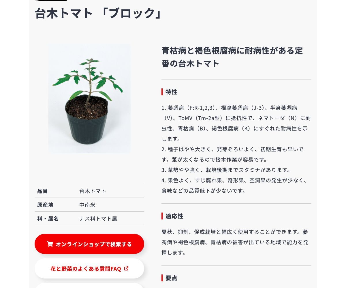 ブロック
