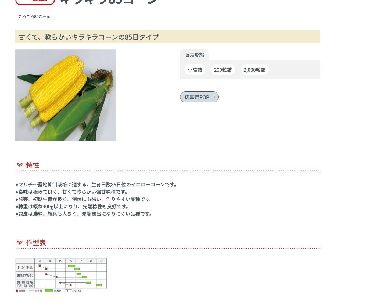 キラキラ85コーン
