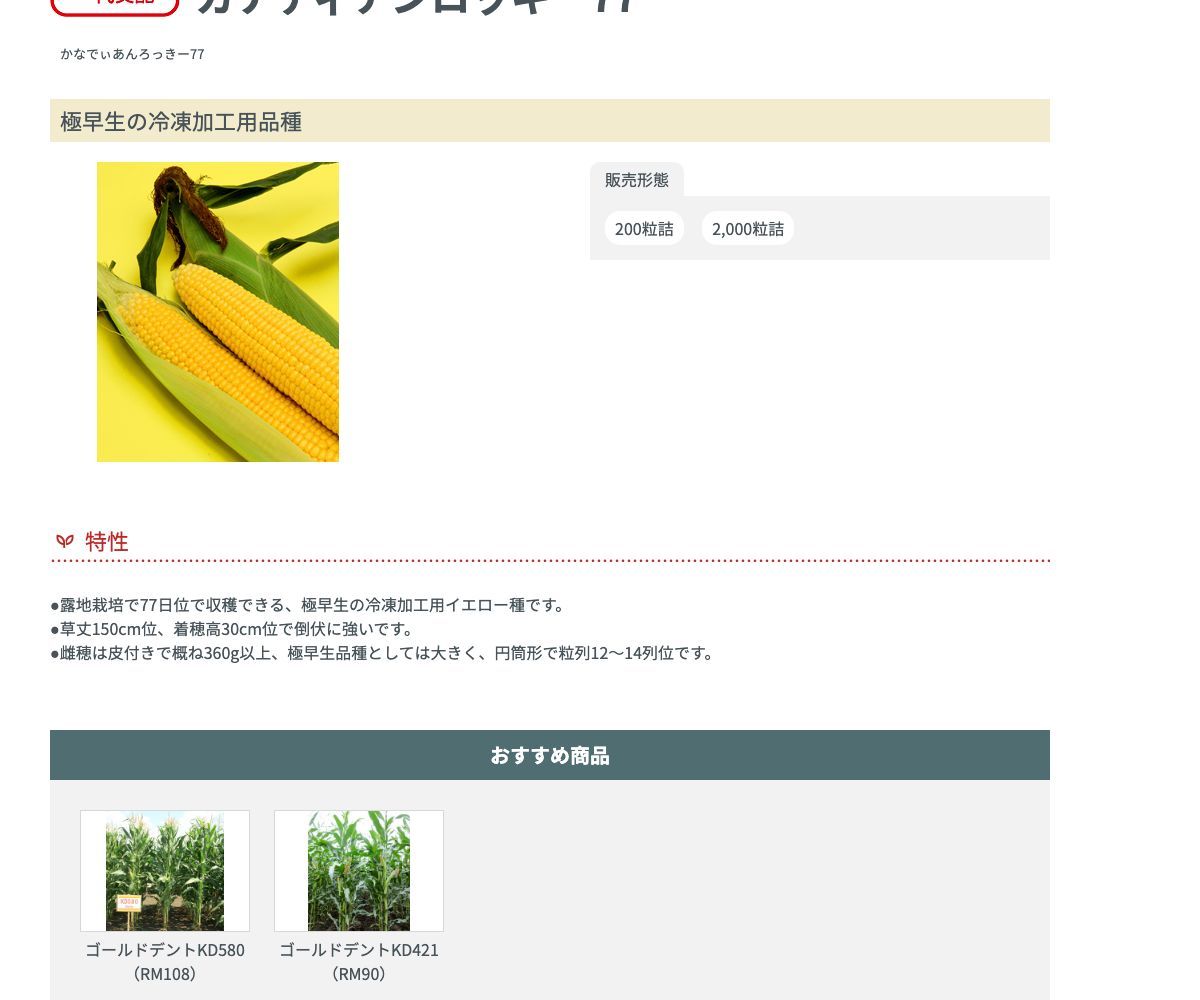 カナディアンロッキー77