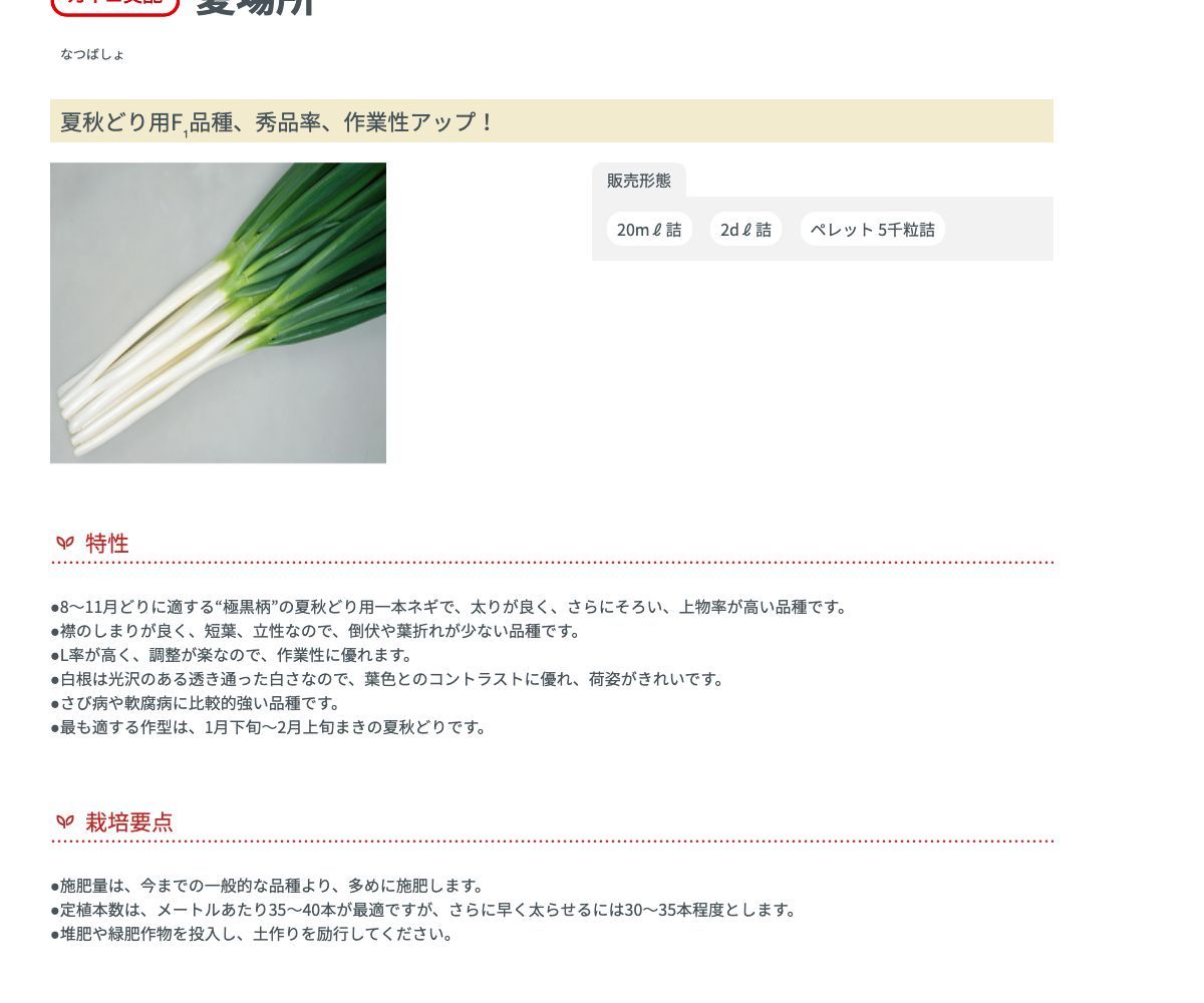 夏場所