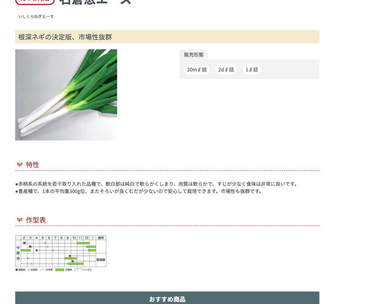 石倉葱エース