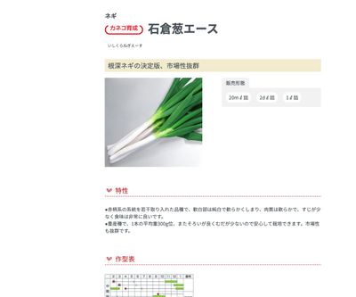 石倉葱エースの画像