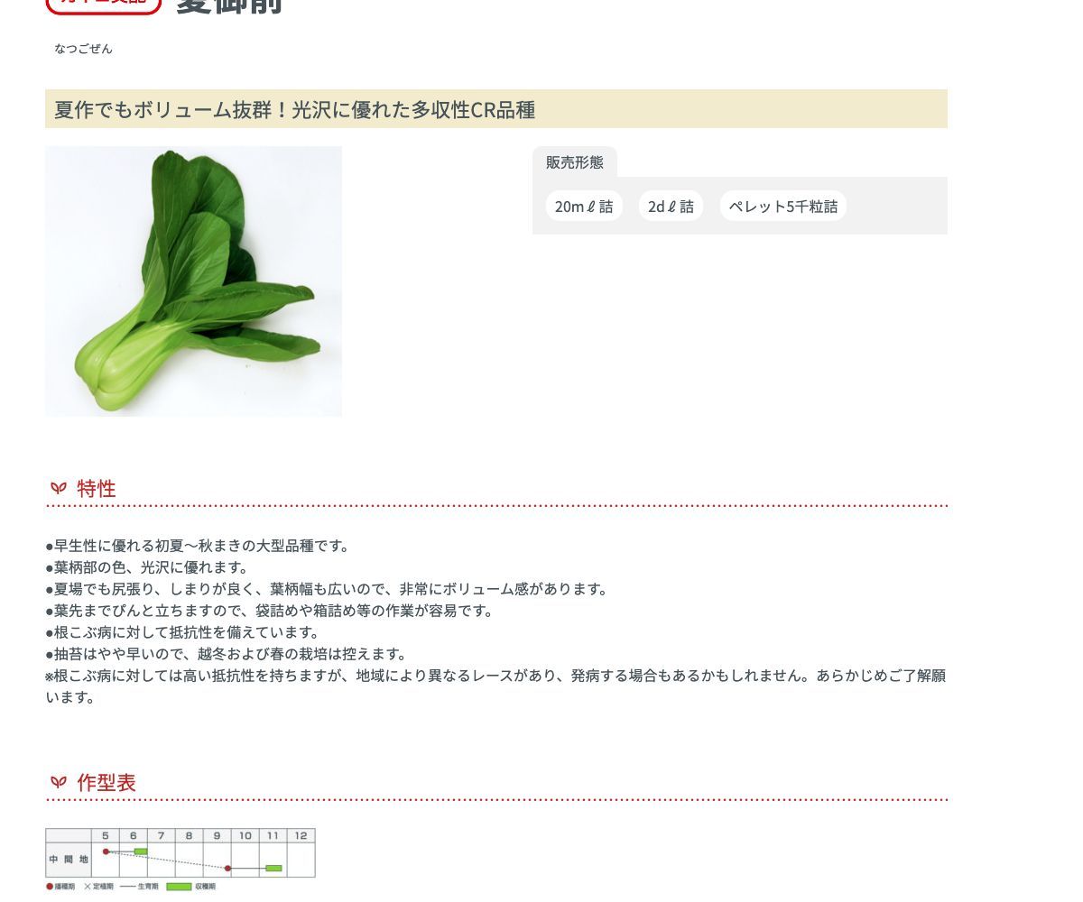 夏御前