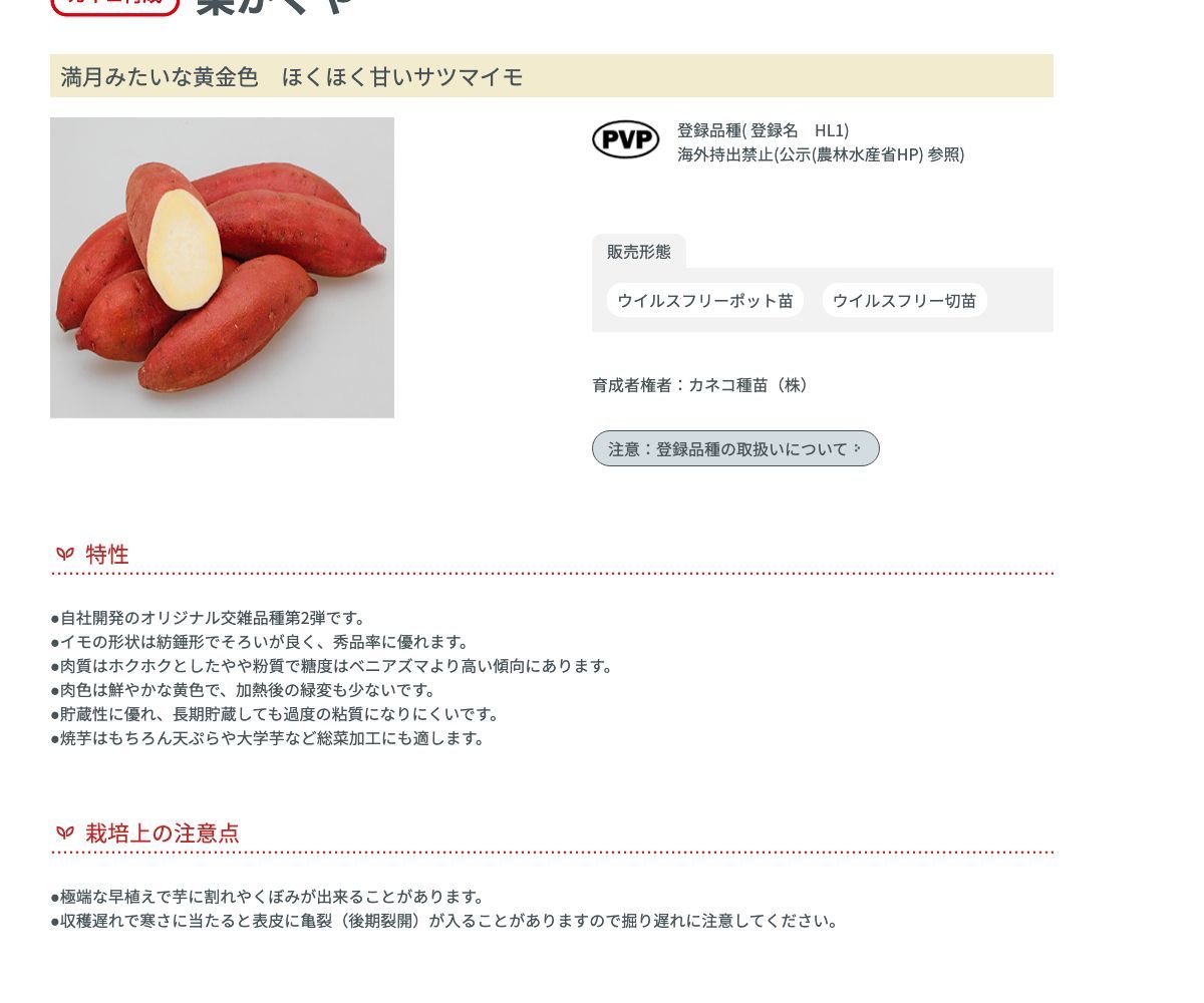 栗かぐや®
