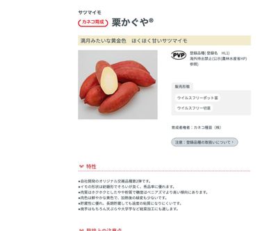 栗かぐや®の画像