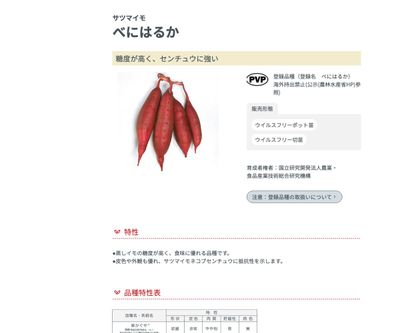 べにはるかの画像