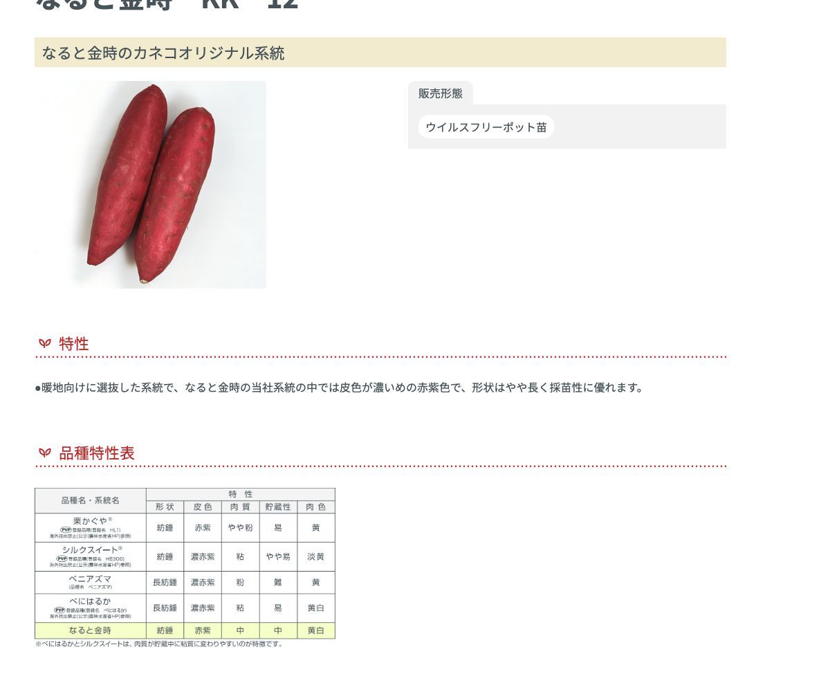 なると金時 KK−12