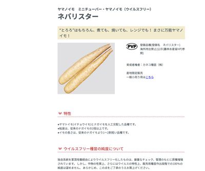 ネバリスターの画像