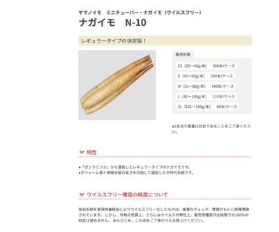 ナガイモ N-10の画像