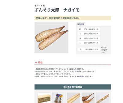 ずんぐり太郎 ナガイモの画像