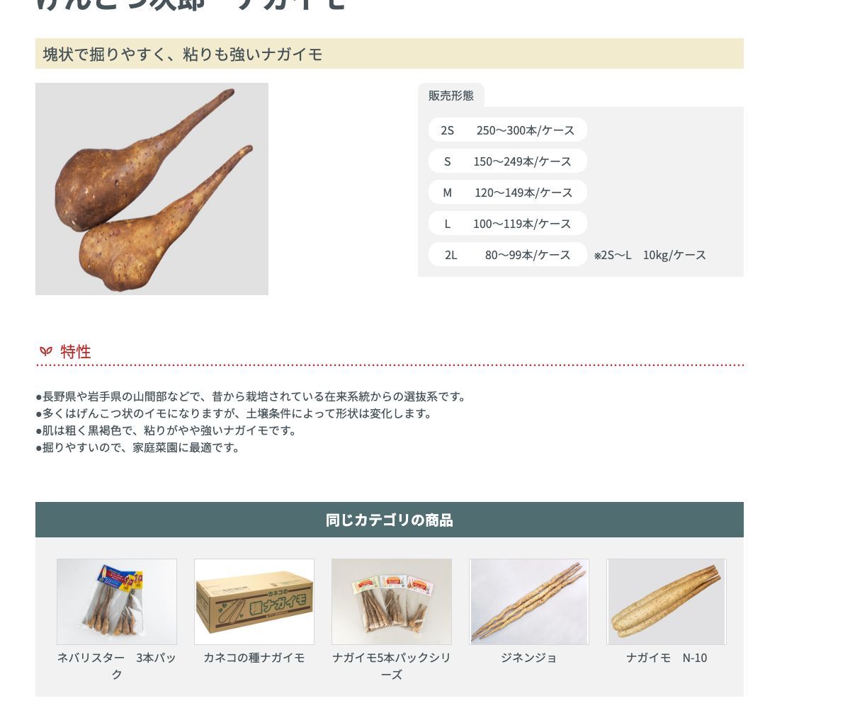 げんこつ次郎 ナガイモ